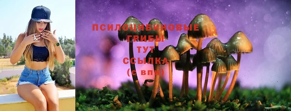 mix Армянск
