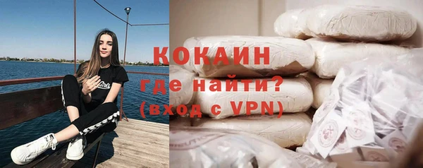 индика Арсеньев