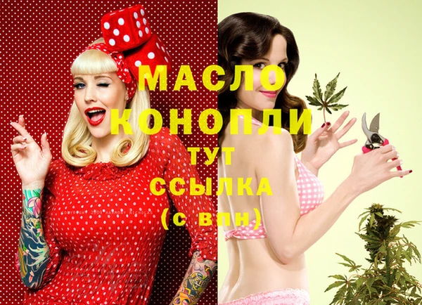 индика Арсеньев